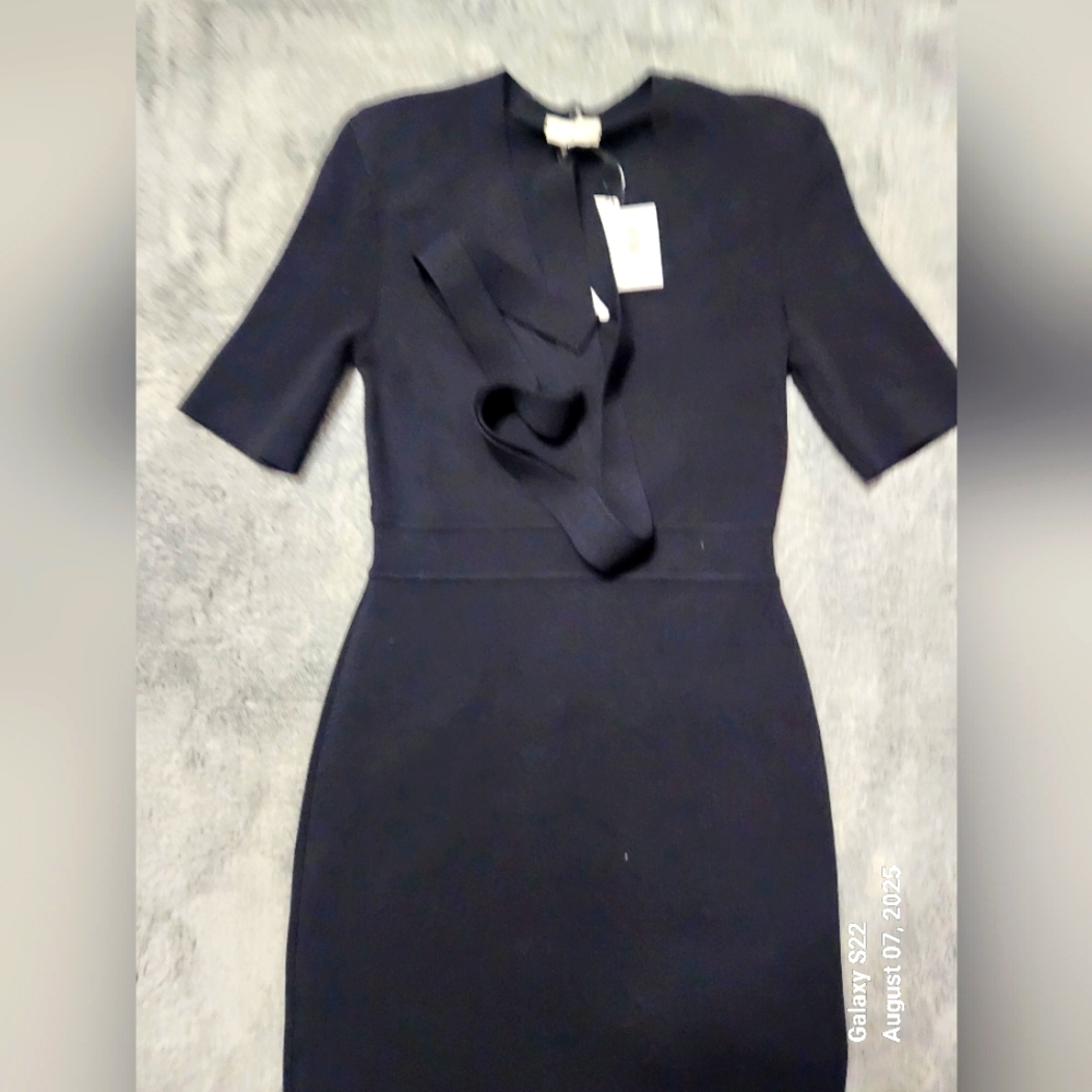 NWT Scanlan Theodor Dress